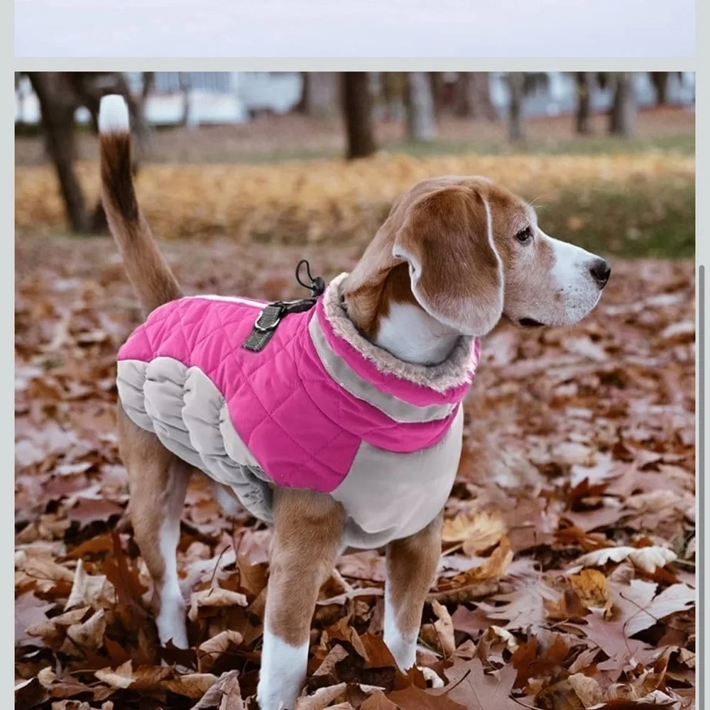 Lelepet Dog Coat Warm Dog Winter Coat Waterproof Dogs Jacket L/ 488-bb3